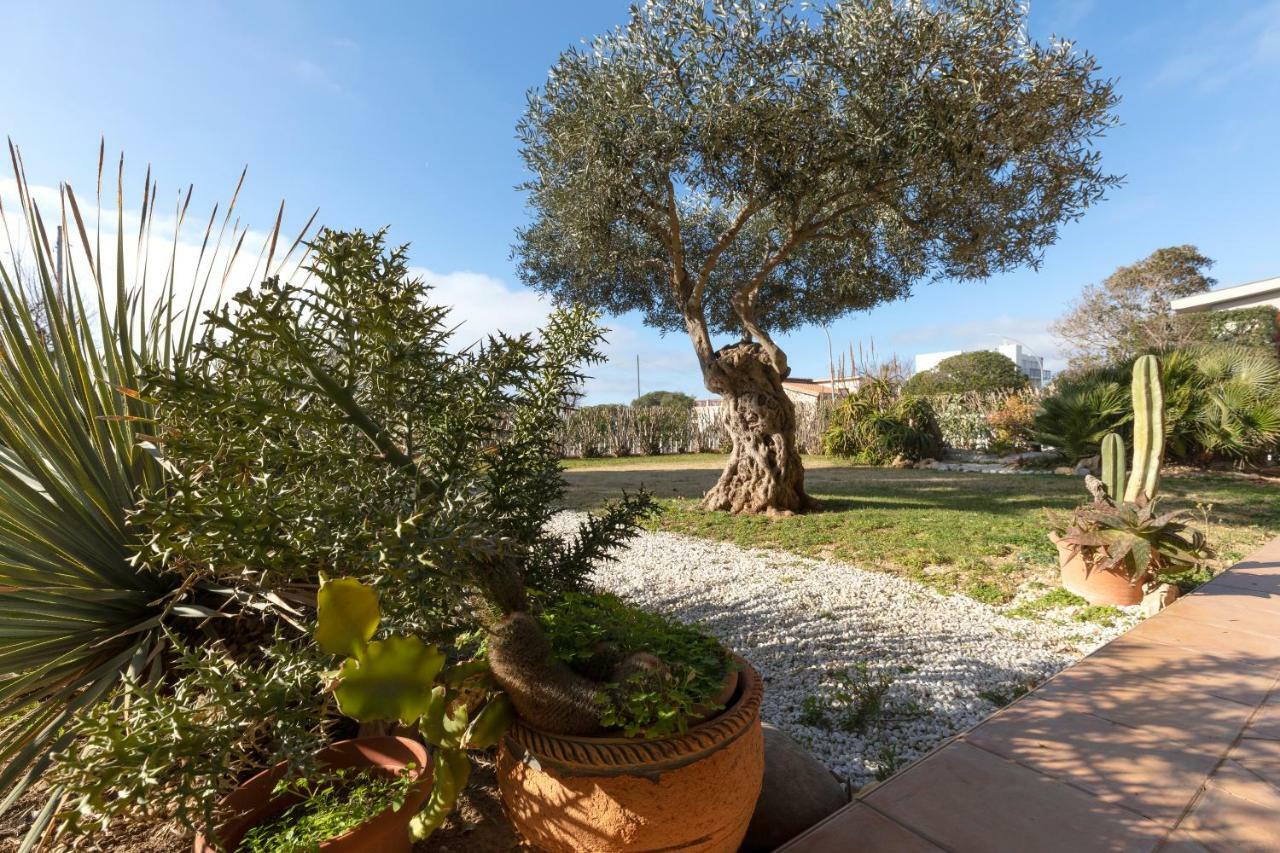 Villa Arrecifes Fertilia Kültér fotó